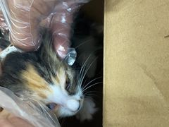 -美联众合动物医院·24h京西诊疗中心