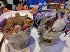 -半岛听涛蒸汽海鲜自助(K11店)