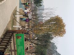 -黄龙溪欢乐田园