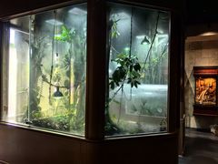 -帕帕拉兹宠物(亚洲旗舰店)