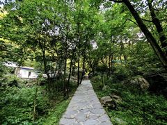 -少华山国家森林公园