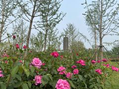 -西海子公园