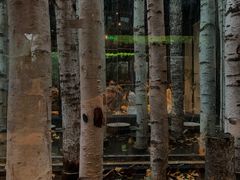 -Metal hands·铁手咖啡