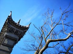 -广富林郊野公园