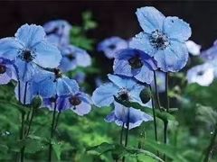 -沕沕水生态风景区