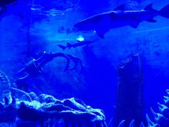 -波塞冬旅游度假区