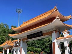 -深圳仙湖植物园