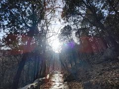 -阳台山自然风景区