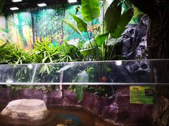 -上海大自然野生昆虫馆(东方明珠·爬宠昆虫探索中心)