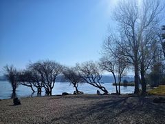 -洱海月湿地公园