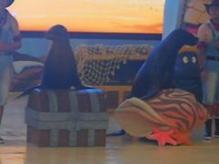 三亚海昌海洋不夜城-三亚海昌梦幻海洋不夜城