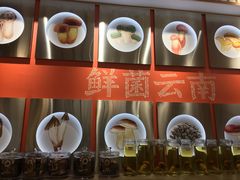 -鲜菌江湖正宗野生菌火锅
