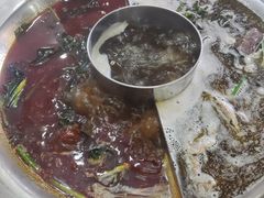 -丽清大别山鹅火锅(红皖家园店)