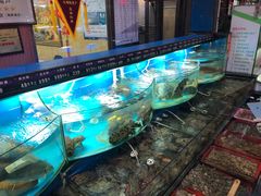 水产区-望海潮海鲜店 特色家常菜(在海一方店)