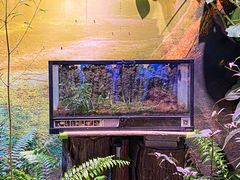 -正佳雨林生态植物园