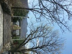 android_upload_pic-阳台山自然风景区