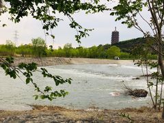 -永定河休闲森林公园