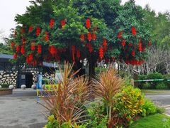-深圳湾公园(南山区)