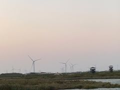 -启东黄金海滩景区