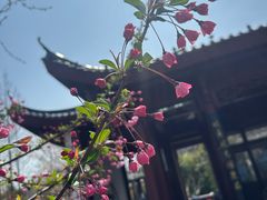 -堤角公园