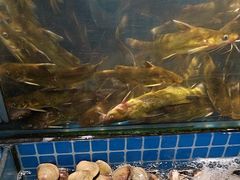 -鹿客臻鲜海鲜自助餐厅(永旺店)