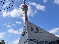 -上海海洋水族馆