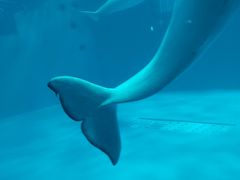 -泉城欧乐堡海洋极地世界