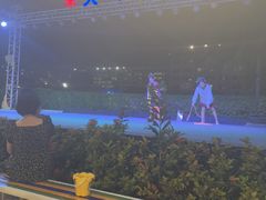 -渔家火锅·海鲜自助餐·演艺(亚龙湾天域酒店)