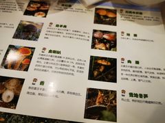 菜单-太婆天府山珍酒楼(亚运村店)