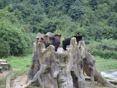 -杭州野生动物世界