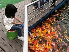 -长洲岛都市农业公园