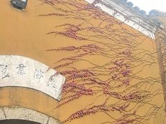 -普陀山慧济禅寺