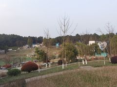 -铁山坪森林公园