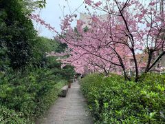 -黄桷坪涂鸦艺术街