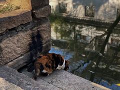 -西园戒幢律寺