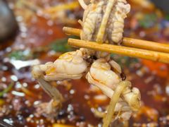 -鸿顺老铁锅美蛙鱼府(解放碑店)
