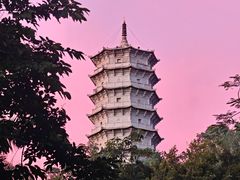 -深圳国际园林花卉博览园