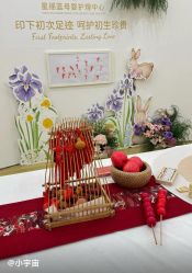 -上海星摇篮母婴护理中心(市妇幼店)