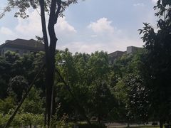 -沐仙湖湿地公园