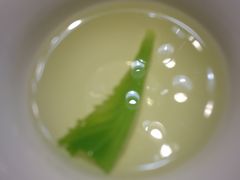 -松云泽