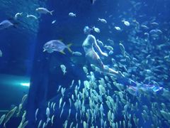 -临沂极地海洋王国