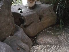 -苏州文旅花间堂·探花府酒店