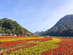 -广州市石门国家森林公园