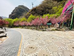 -十渡东湖港风景区