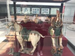 -洛阳古墓博物馆