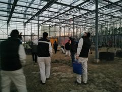 -前小桔亲子创意农场·草莓采摘·露营烧烤