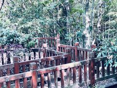 -上海佘山国家森林公园天马山园