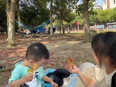 -艾溪湖湿地公园