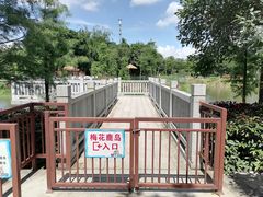 -王借岗森林公园