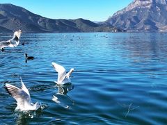 -丽江泸沽湖景区